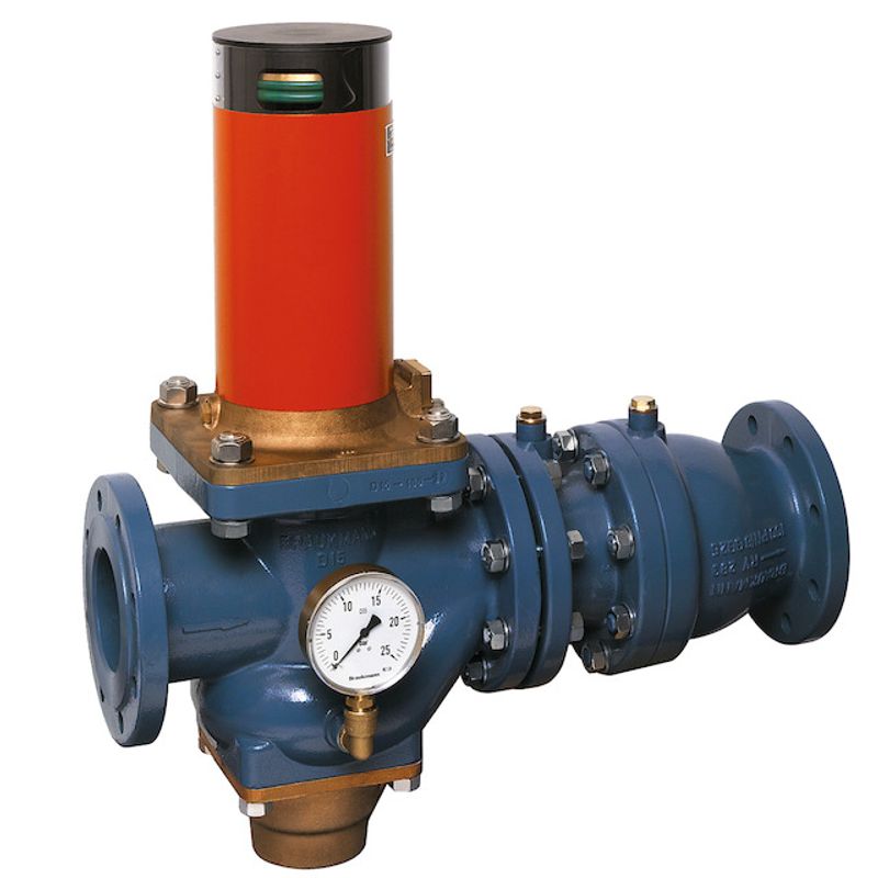 Resideo Rohrtrenner R295P-F EA1 Flansch GG plvb FB, 703 mm Bild 1