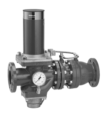 Resideo Rohrtrenner R295HP-F EA2 Flansch GG plvb blau FA, 876 mm, Farbe blau Bild 3