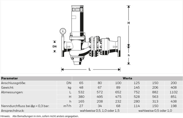 Resideo Rohrtrenner R295P-F EA1 Flansch GG plvb FB, 703 mm Bild 3