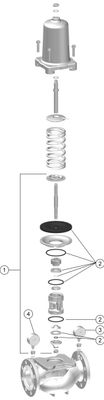 Resideo Druckminderer D15SN pulverbeschichtet, 470 mm, Farbe blau Bild 2