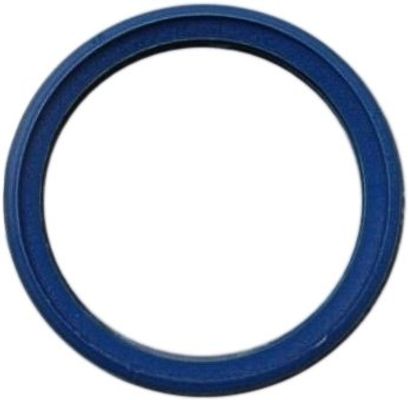 Bosch / Junkers Lippendichtung (blau), DN 80, Farbe blau Bild 2