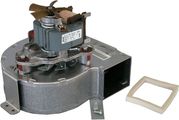 Bosch / Junkers Geblaese 230 V Bild 1