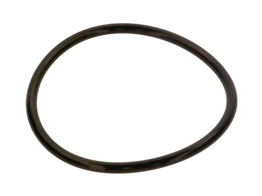 Bosch / Junkers O-Ring 120,02 x 6,99-N everp Bild 2