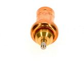 Bosch / Junkers Ersatzpatrone 72°C, für Laddomat Bild 2