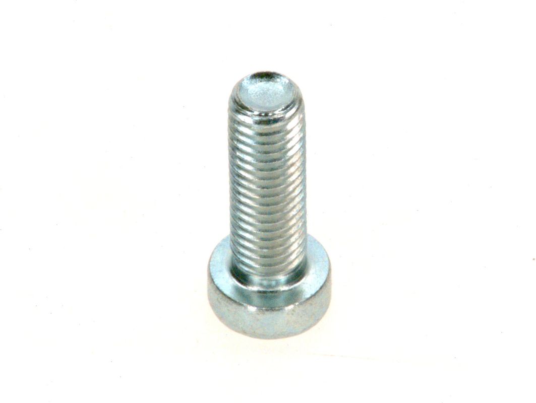 Bosch / Junkers Zyl.-Schraube DIN7984, M 8 x 25, 8.8, A3K (2x) Bild 1
