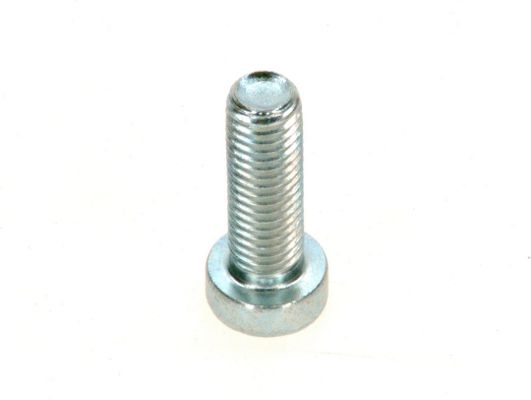 Bosch / Junkers Zyl.-Schraube DIN7984, M 8 x 25, 8.8, A3K (2x) Bild 2
