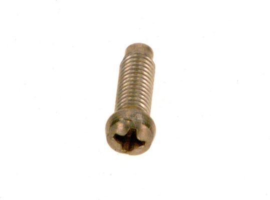 Bosch / Junkers Schraube (10x) Bild 2