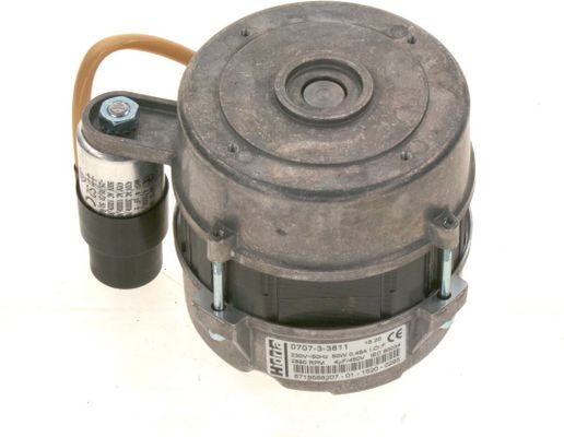 Bosch / Junkers Motor 50W 230 V 50Hz, everp Bild 2