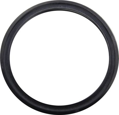 Bosch / Junkers Lippendichtung, DN 80 Bild 2