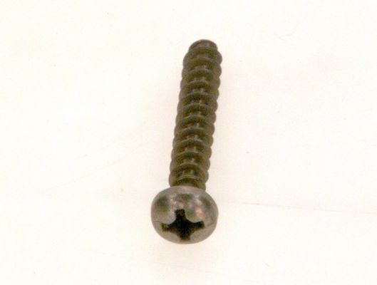 Bosch / Junkers Schraube Kunststoff DIN7962 4 x (10x), 25 mm Bild 2
