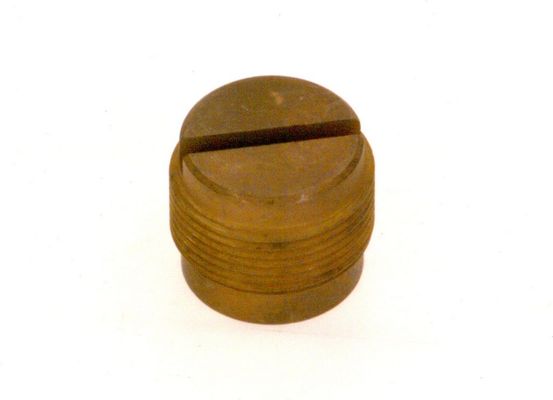 Bosch / Junkers Verschlussschraube Bild 2