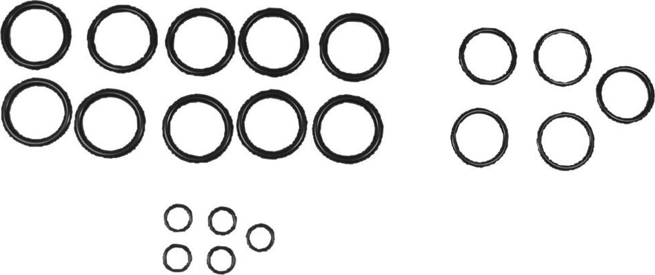 Bosch / Junkers O-Ringsatz Bild 2
