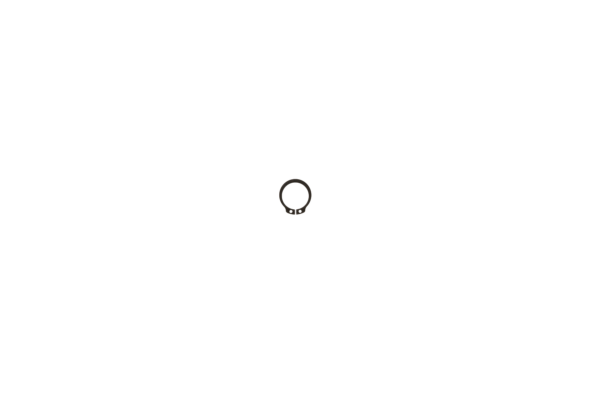 Brötje Körting 22 x 1,2 Sicherungsring 471 Bild 1