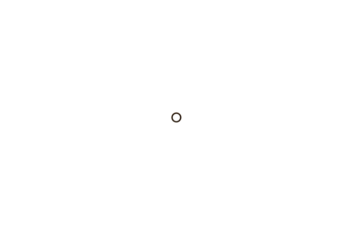 Brötje O-Ring, für Gasventil 1/2" Bild 1