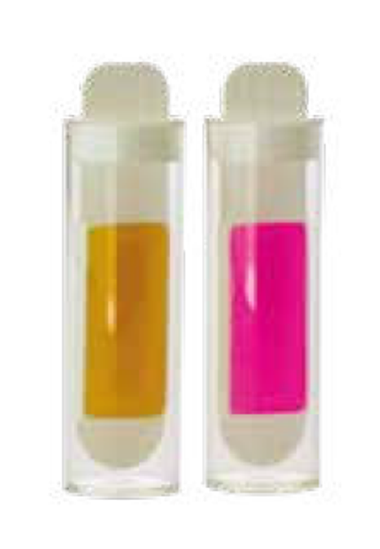 Conti Trinkwasserhygiene Test, Gesamtkeimzahlbestimmung und Nachweis Bild 1