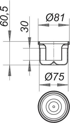 Dallmer Geruchverschlusseinsatz 42, 81 mm Bild 2