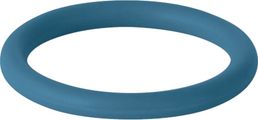 Geberit Mapress C-Stahl Mapress Dichtring FKM blau 108 mm, DN 100, Farbe sonstige Bild 1