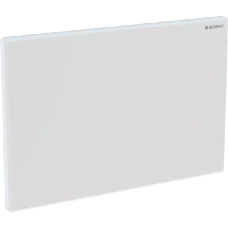 Geberit Abdeckplatte, zu Hygienespülung, Farbe silberfarben Bild 1