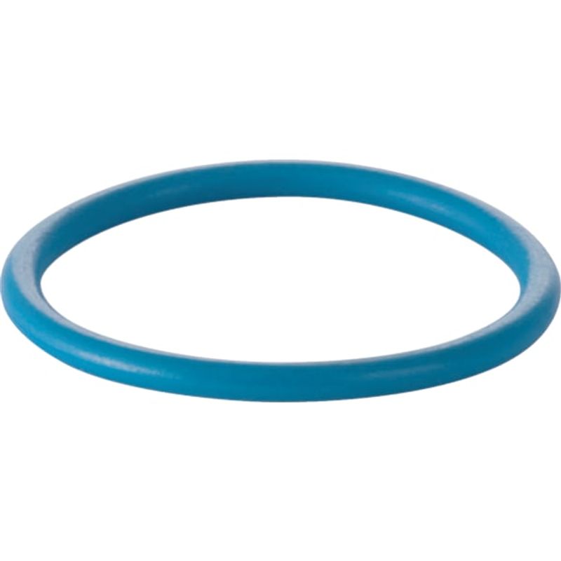 Geberit O-Ring, für Duscharm, für AquaClean 8000 / 8000plus Bild 1