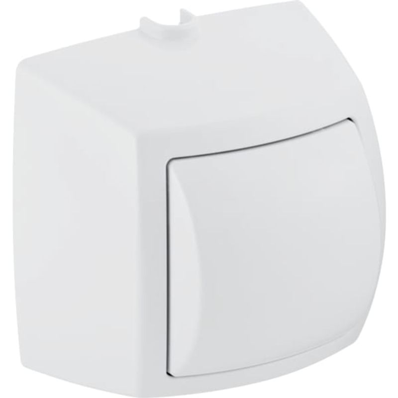 Geberit Handdrücker AP f.1-Mengen-Spülung zu WC-Steuerung pneumatische Spülauslösung chrom Bild 1