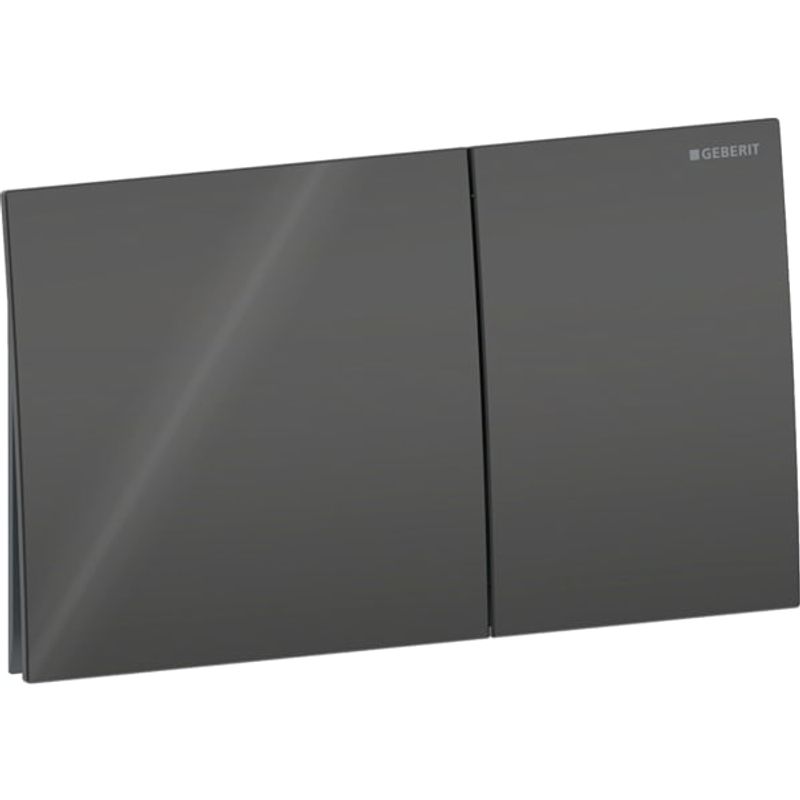 Geberit Betätigungsplatte, für 2-Mengen-Spülung, Glas, 25 x 146 mm, Farbe schwarz Bild 1
