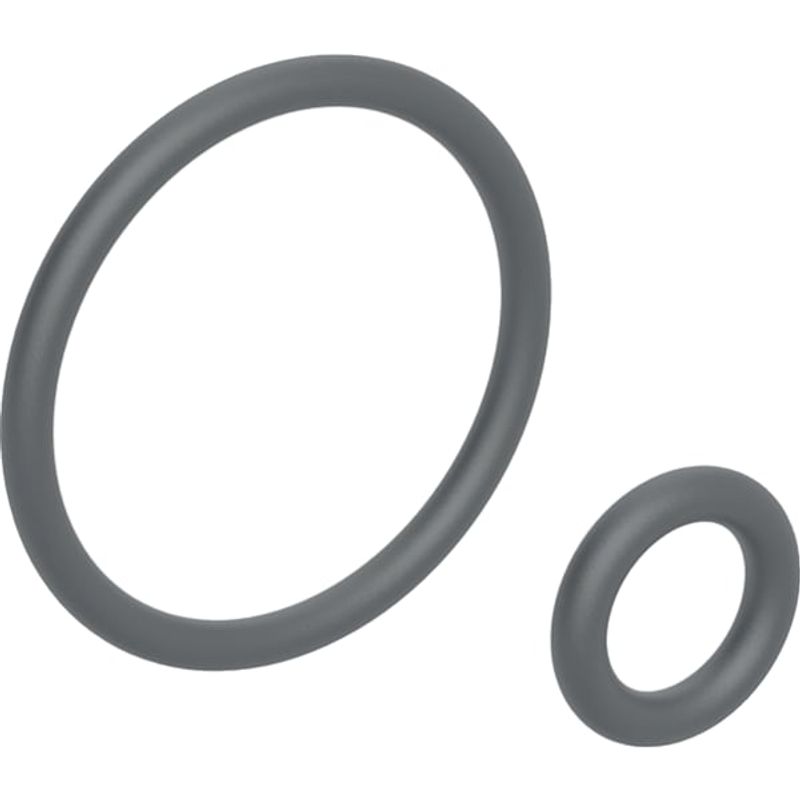 Geberit O-Ring, für Duscharm zu AquaClean 4000 / Sela (Sela bis Bj 2018) Bild 1