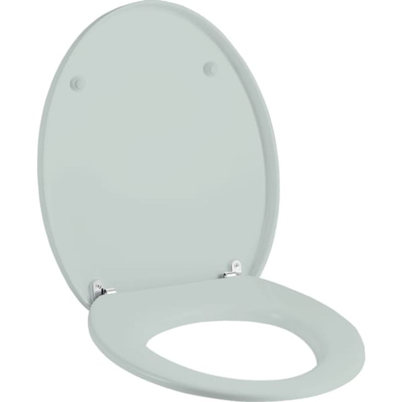 Geberit Cleo WC-Sitz, aegaeis Scharniere, Farbe silberfarben Bild 1