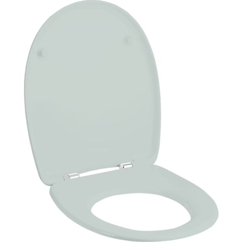 Geberit Virto WC-Sitz, aegaeis Scharniere, Farbe silberfarben Bild 1