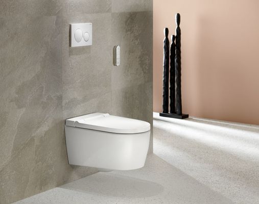Geberit Wand- Dusch-WC, komplett, Des.Abd, Farbe weiß Bild 3