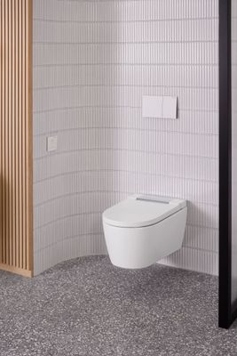Geberit Betätigungsplatte, für 2-Mengen-Spülung, Edelstahl, 23 x 146 mm, Farbe Edelstahl-Optik (silber) Bild 3