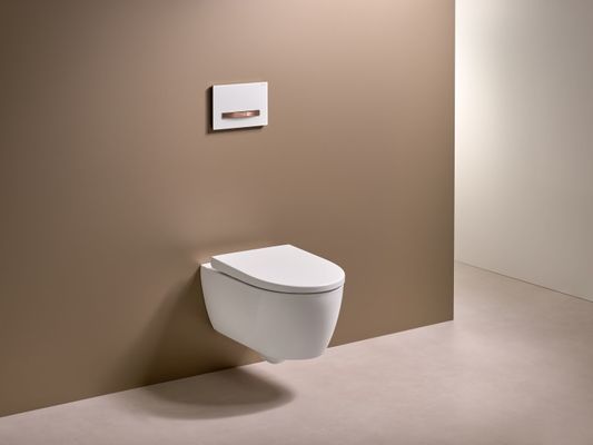 Geberit Wand-Tiefspül-WC Set WC-Sitz, mit AS, spülrandlos, kompakt, 330 x 355 mm, Farbe weiß Bild 7