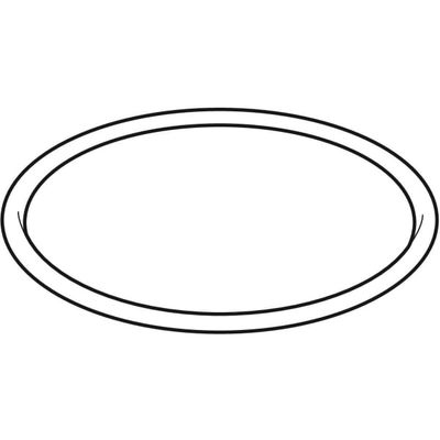 Geberit O-Ring für Spülrohr zu UP-Spülk. 362.769.00 Bild 2