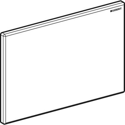 Geberit Abdeckplatte, zu Hygienespülung, Farbe silberfarben Bild 4