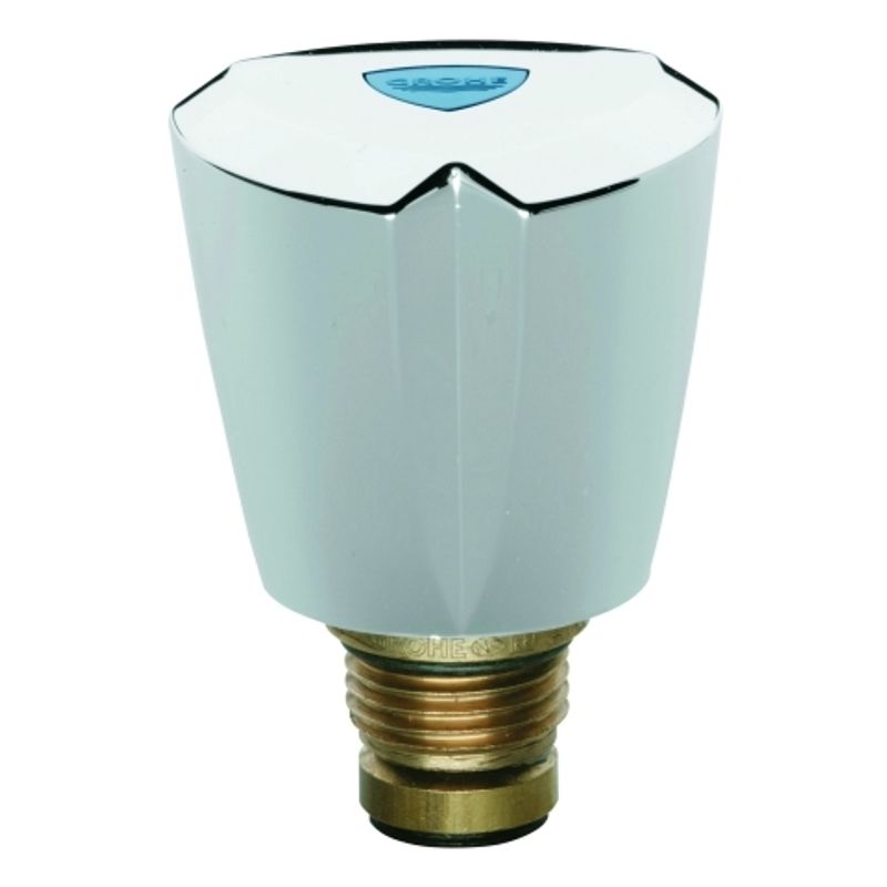 Grohe Oberteil 1/2", für Costa, Farbe silberfarben Bild 1