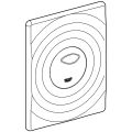 Grohe WC-Betätigung Surf 42302 mattchromom, 126 x 166 mm, Farbe hochglanz Bild 2