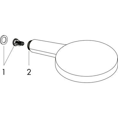 Hansgrohe Handbrause Raindance Select S 120 PGO, 125 mm, Farbe gold Bild 2