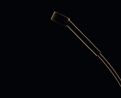 Hansgrohe Handbrause Axor One 75 1jet EcoSmart PGO, Farbe gold Bild 12