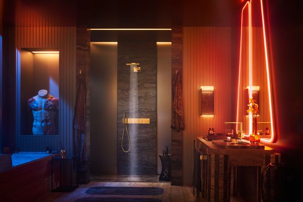 Hansgrohe Badetuchhalter 600 mm Axox Universal Rectangular PGO, 110 x 85 x 85 mm, Farbe gold Bild 26