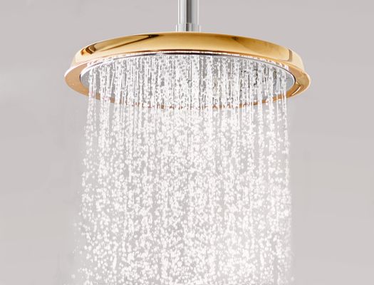 Hansgrohe Tellerkopfbrause Raindance Classic 240 mm Air chr./go.mit Deckenelement 100 mm, 171 x 270 x 270 mm, Farbe chrom, gold Bild 3