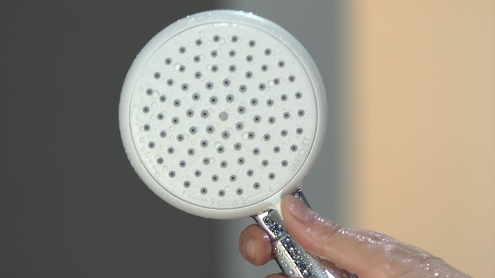 Hansgrohe Handbrause Crometta 100 Vario EcoSmart weiss / chrom, 100 mm, Farbe weiß Bild 3