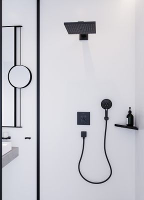 Hansgrohe Handbrause Raindance Select S120 3jet, EcoSmart,9 l/min, matt, 125 mm, Farbe schwarz Bild 4