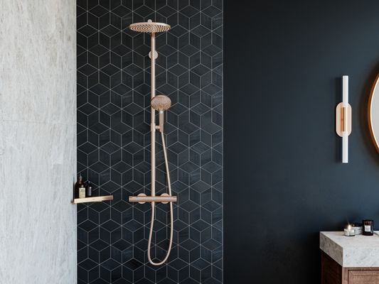 Hansgrohe Seifenkorb AddStoris BBR, 26 x 305 x 148 mm, Farbe bronze Bild 5