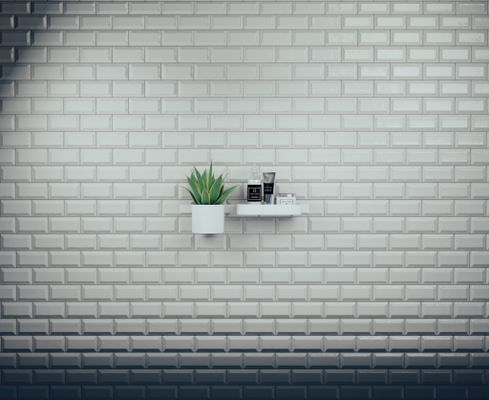 Hansgrohe Wandstange WallStoris 500 matt, 500 x 12 mm, Farbe weiß Bild 11