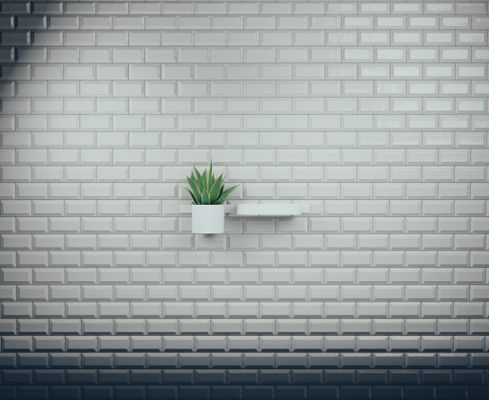 Hansgrohe Wandstange WallStoris 500 matt, 500 x 12 mm, Farbe weiß Bild 12