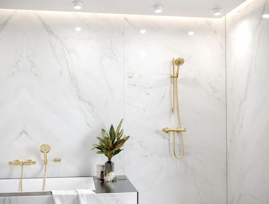 Hansgrohe Handbrause Raindance Select S 120 PGO, 125 mm, Farbe gold Bild 5