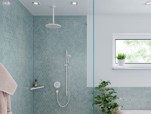 Hansgrohe Handbrause Raindance Select S 120 EcoSmart matt, 125 mm, Farbe weiß Bild 6