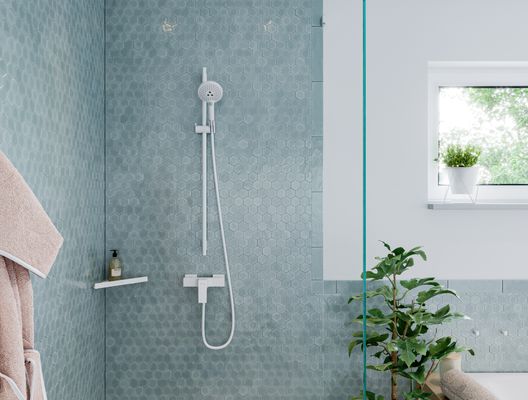 Hansgrohe Handbrause Raindance Select S 120 EcoSmart matt, 125 mm, Farbe weiß Bild 7