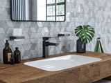 Hansgrohe Seifenschale AddStoris brushed, 52 x 107 x 109 mm, Farbe black chrome Bild 16