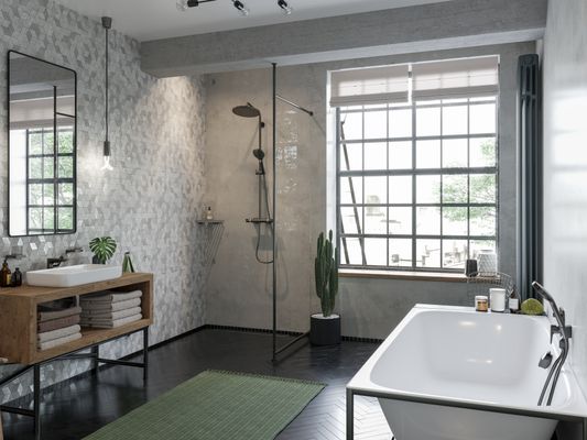 Hansgrohe Handbrause Raindance Select S 120 EcoSmart BBC, 125 mm, Farbe black chrome Bild 6