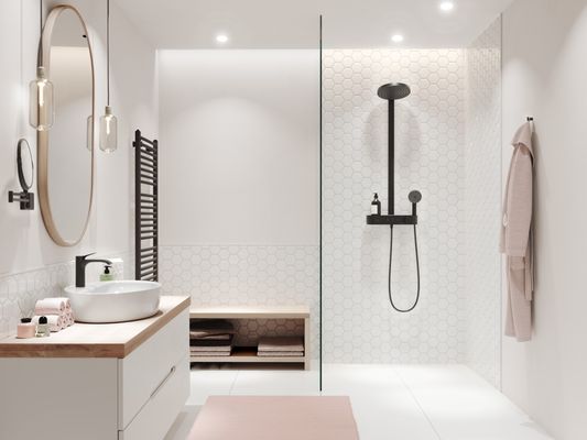 Hansgrohe S Showerpipe 260 2-strahlig, mit AP-Thermostat, 1104 x 413 x 276 mm, Farbe schwarz Bild 15